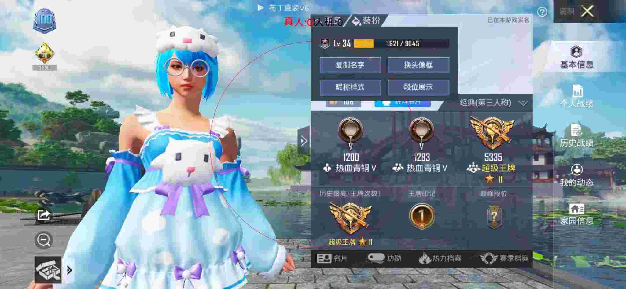 和平精英布丁直装透视 - 和平精英大狗熊图片辅助预览图